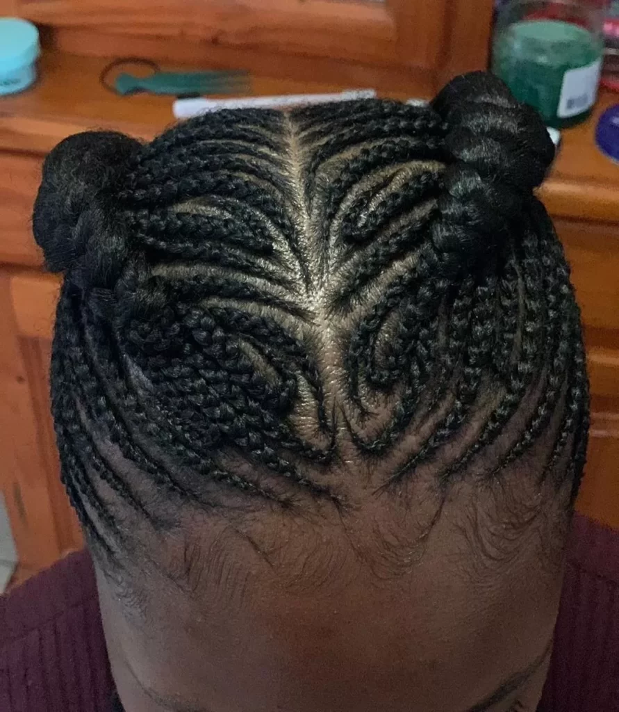 Inside View Of This Wonderful Braided Hairstyles
