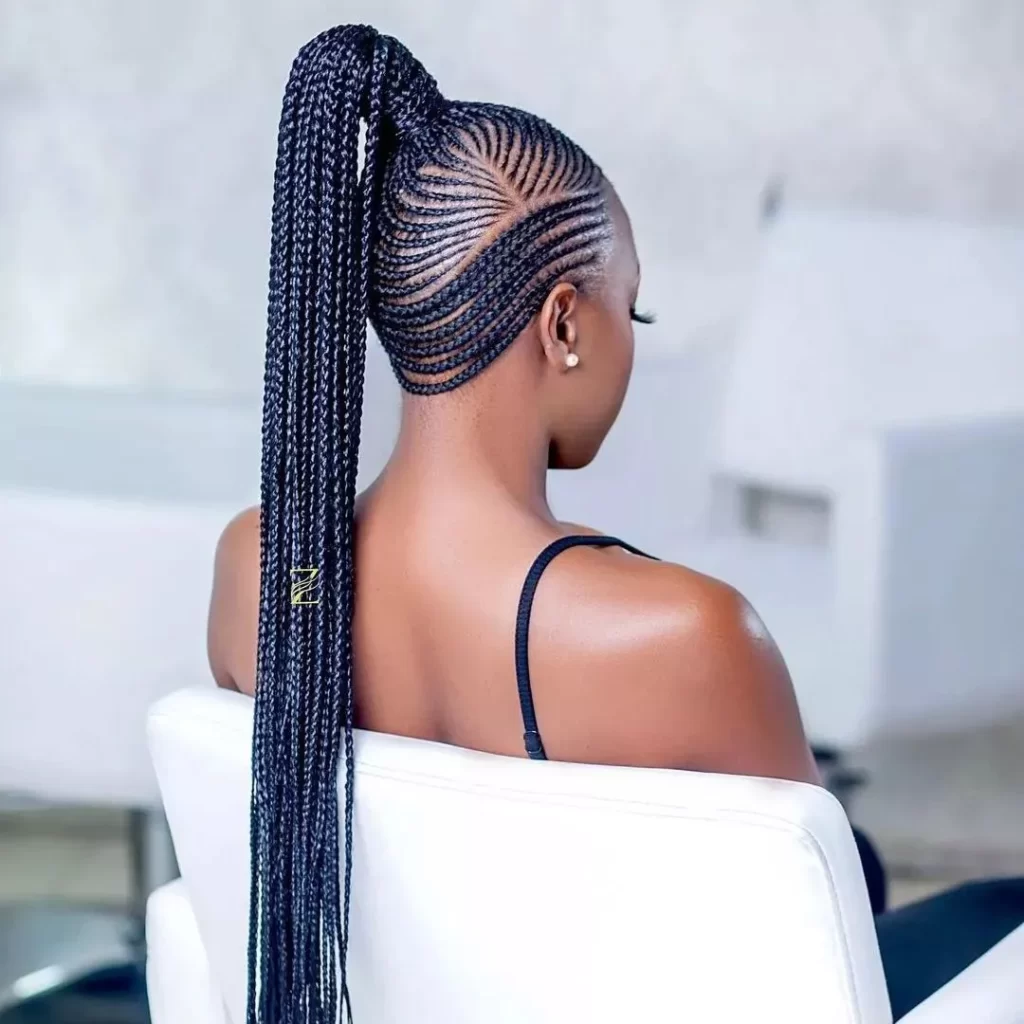 African Hair Braiding Styles For Women (60+ Stunning Pictures)