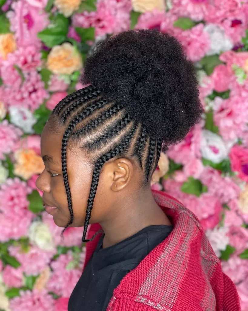 Natural Hair Braids without attachment 
