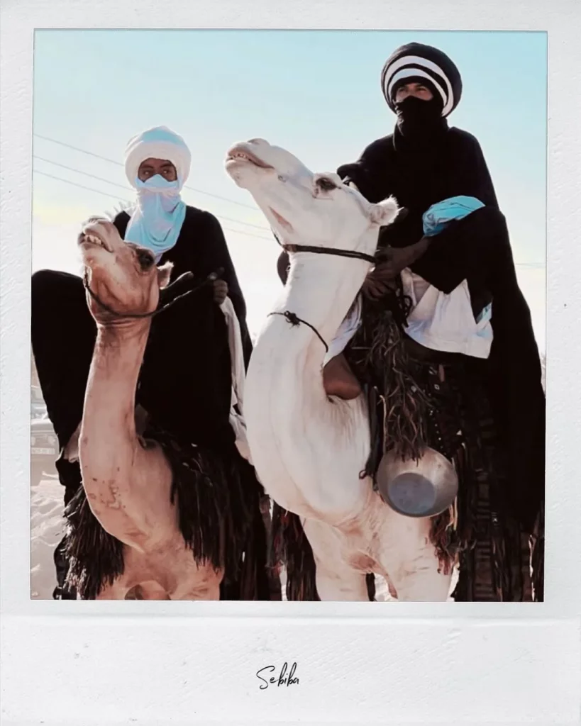 Man of Tuareg tribe and camel caravan