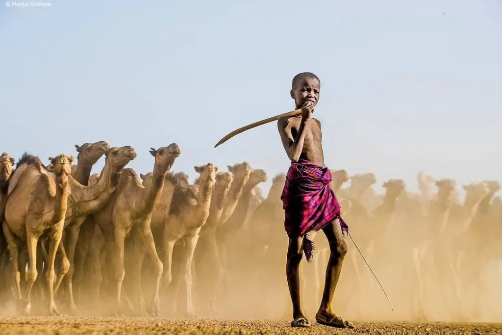 Culture of herdsmen and camels in Turkana 