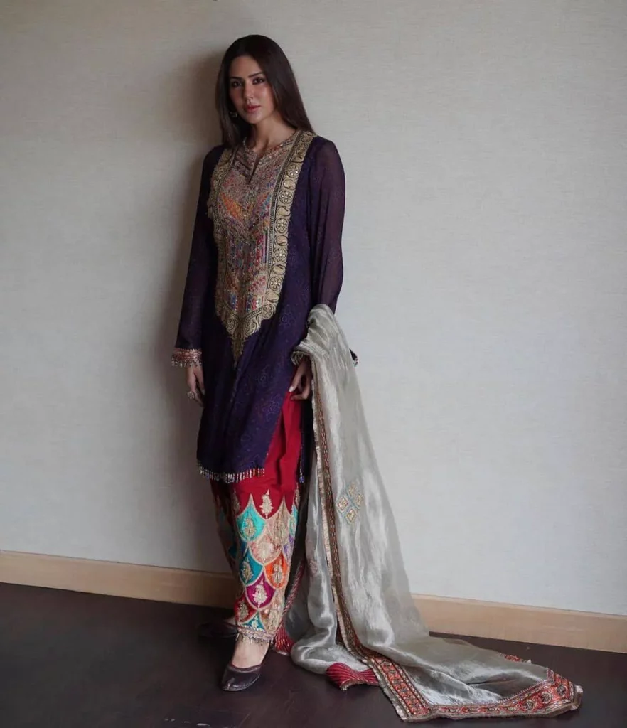 Punjabi Suits for ladies